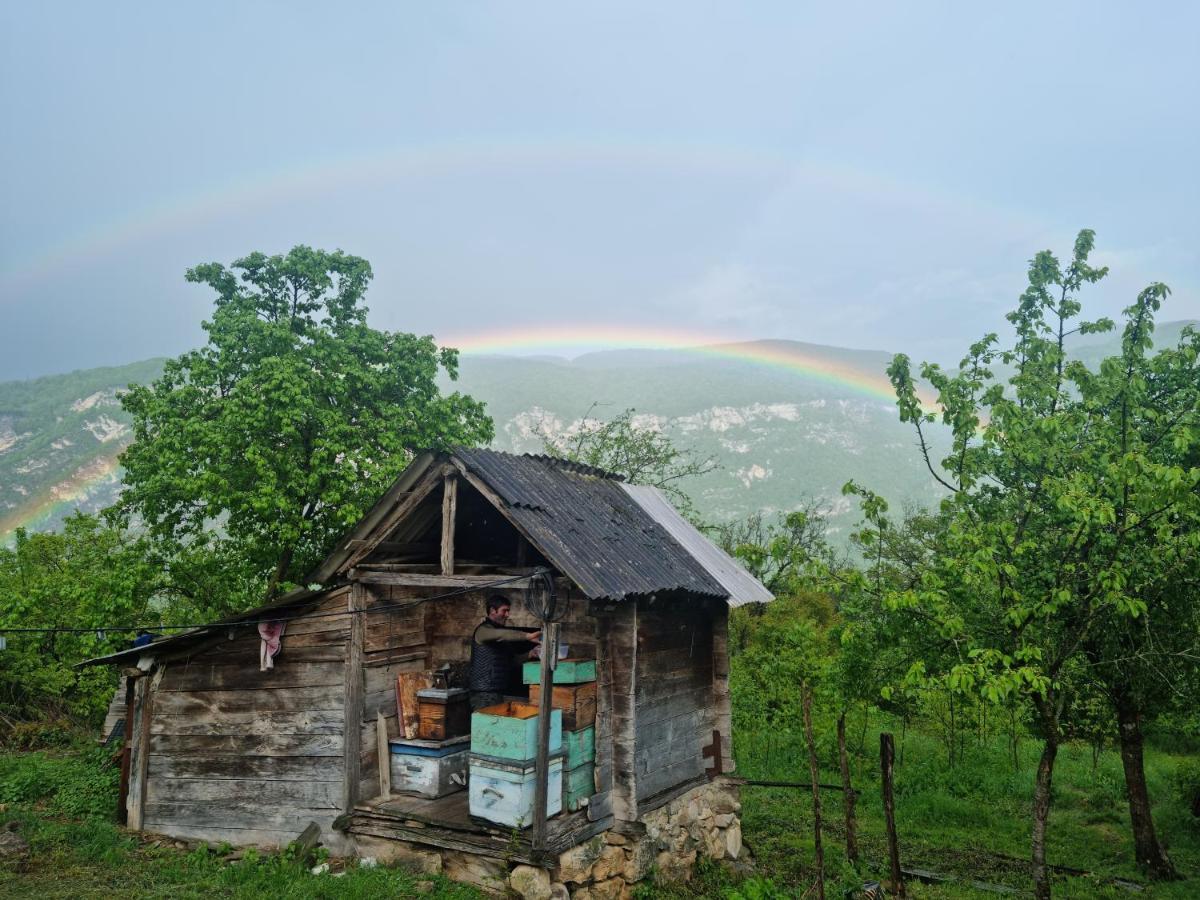 Cottage Tvishi Tvishi
